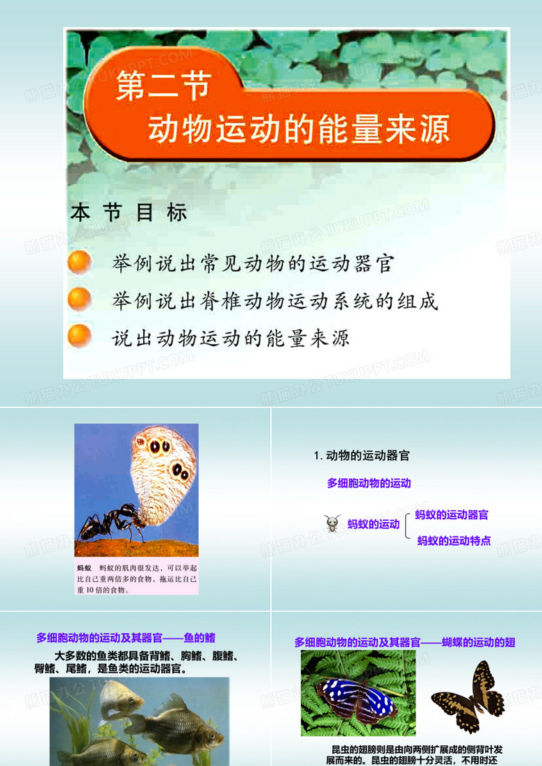 动物运动的能量来源