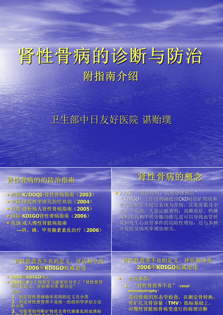 肾性骨病的诊断与防治