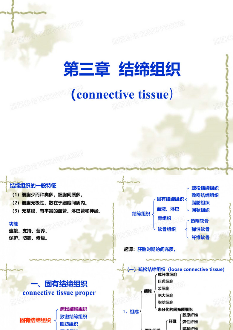 结缔组织