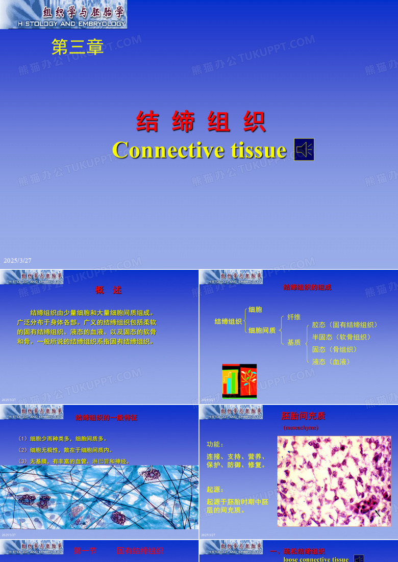 3结缔组织