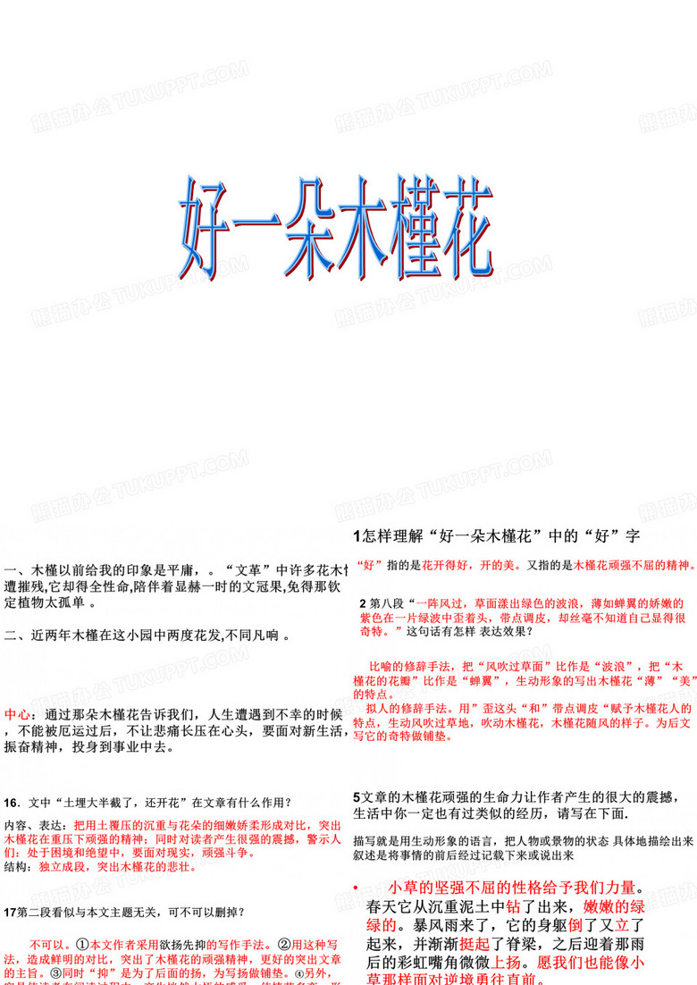 好一朵木槿花
