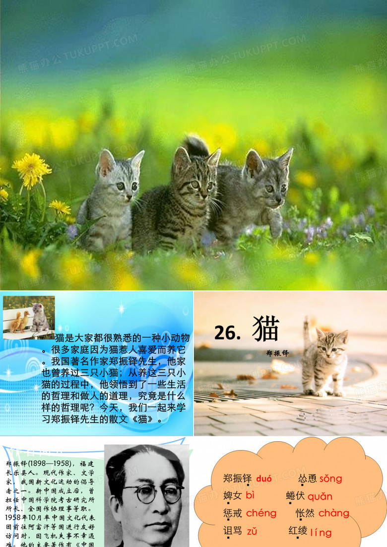 猫_郑振铎_课件