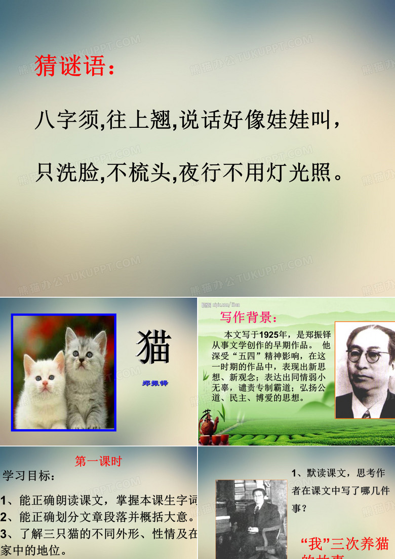 郑振铎《猫》课件