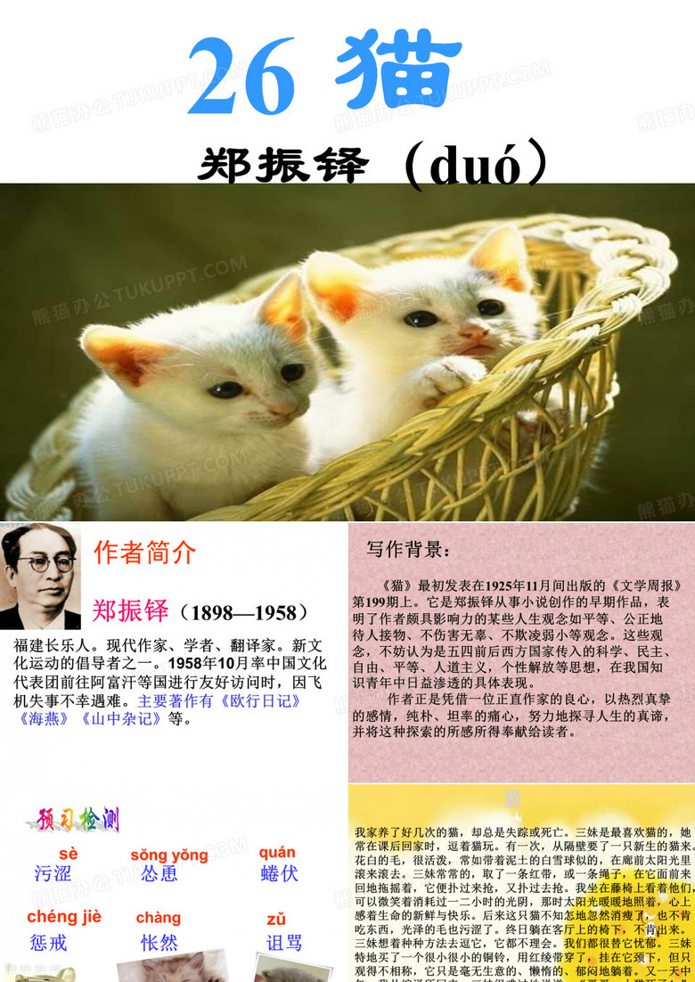 郑振铎猫课件