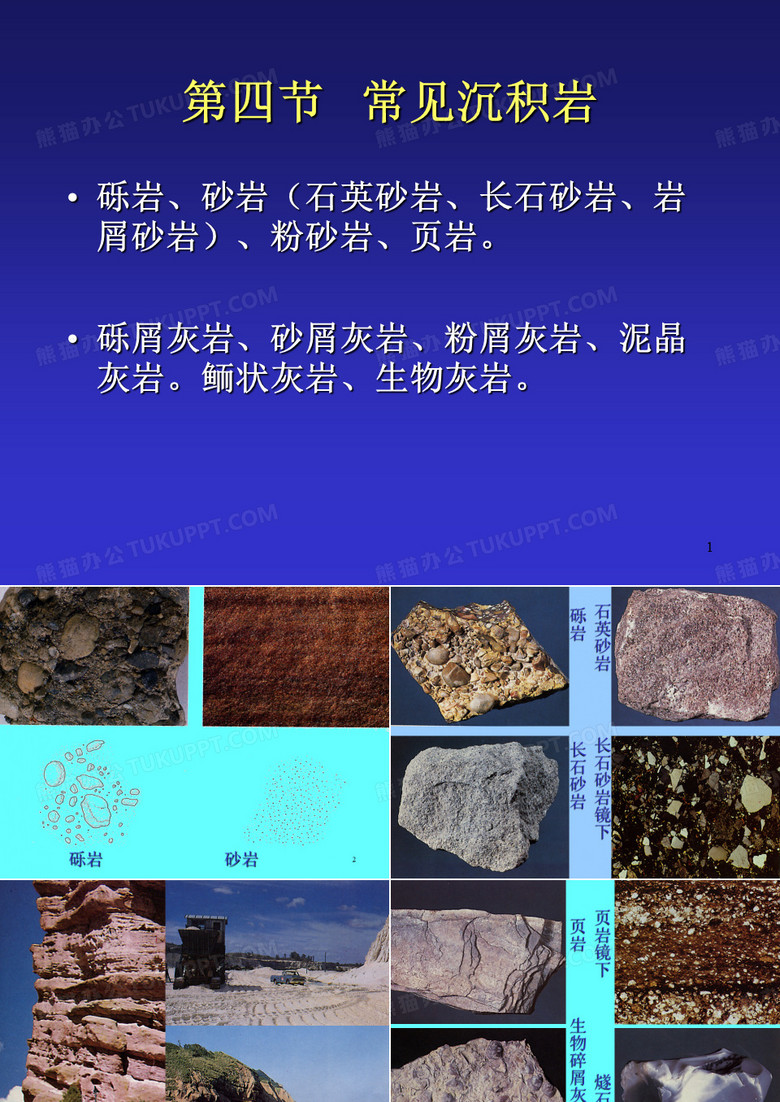 常见沉积岩