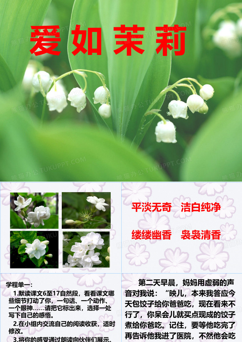 爱如茉莉第二课时