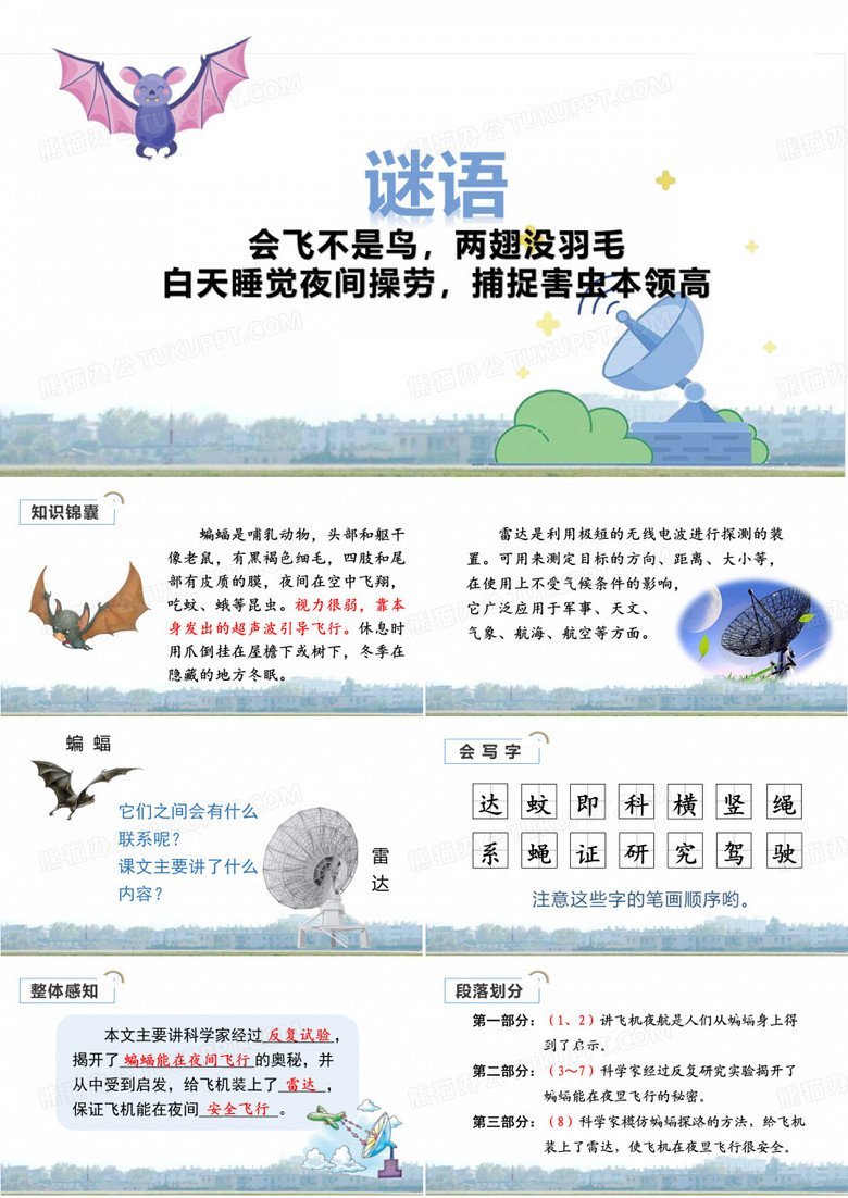 《蝙蝠和雷达》课件