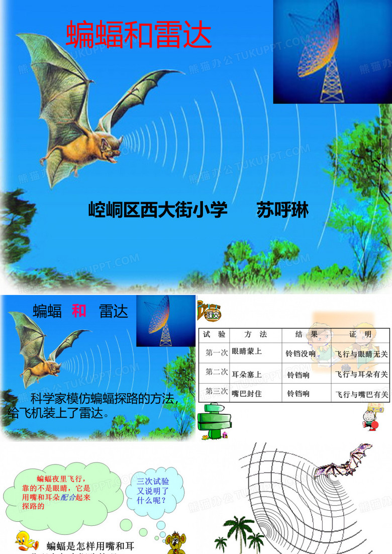 《蝙蝠和雷达》课件