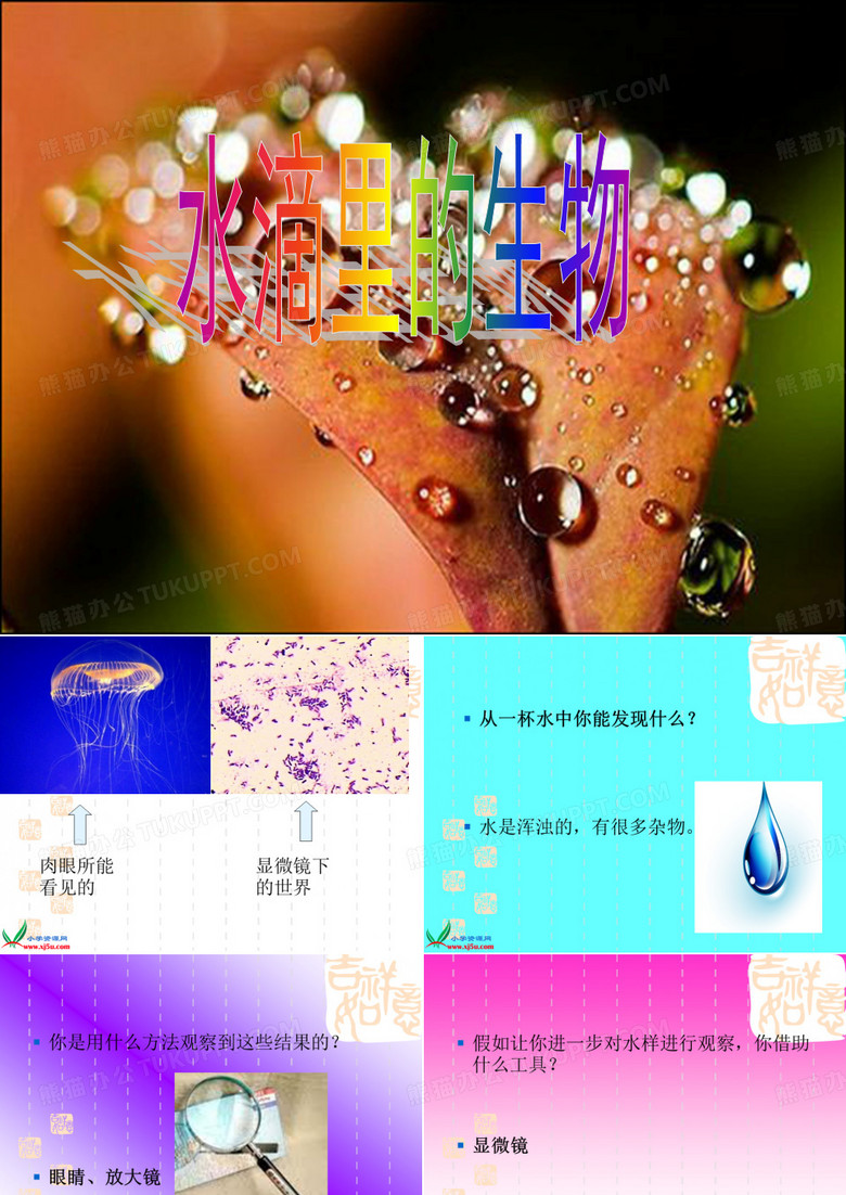 水滴里的生物