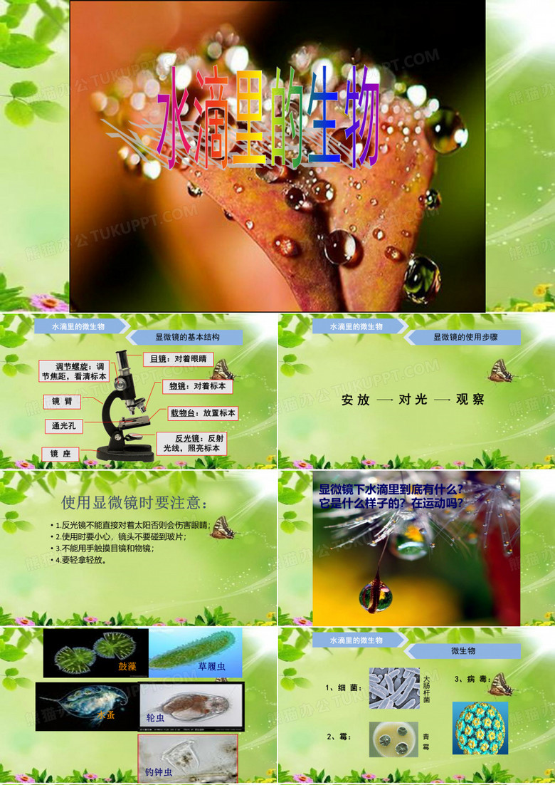 1.1水滴里的生物