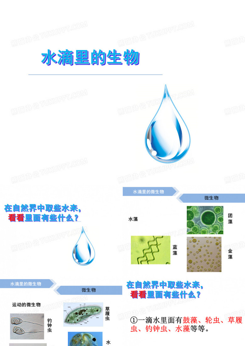1.1水滴里的生物