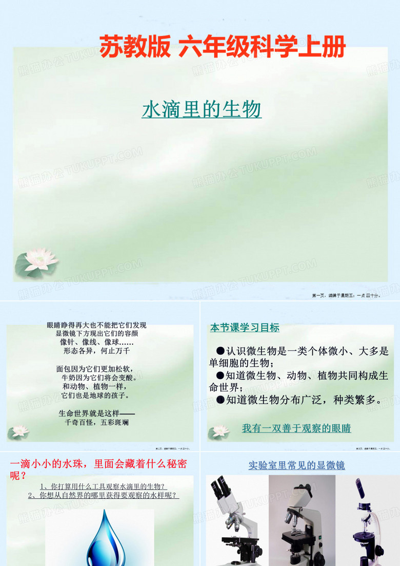 《水滴里的生物》 上课课件 ok