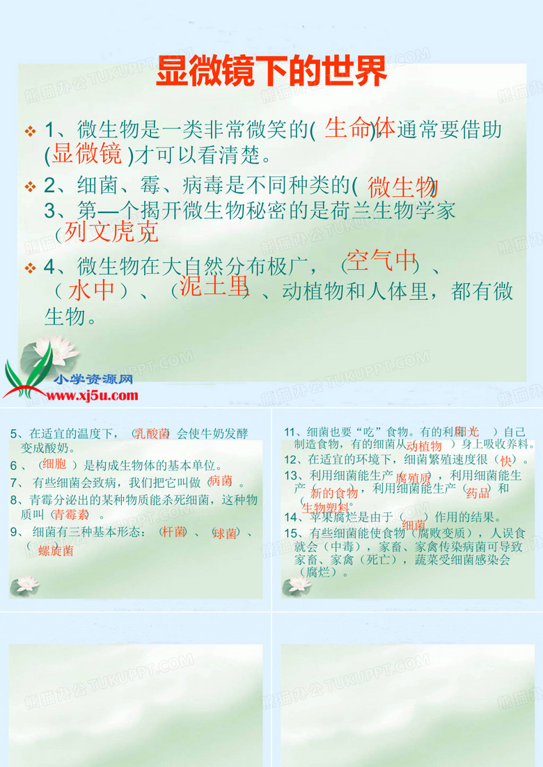 六年级上册《水滴里的生物》PPT