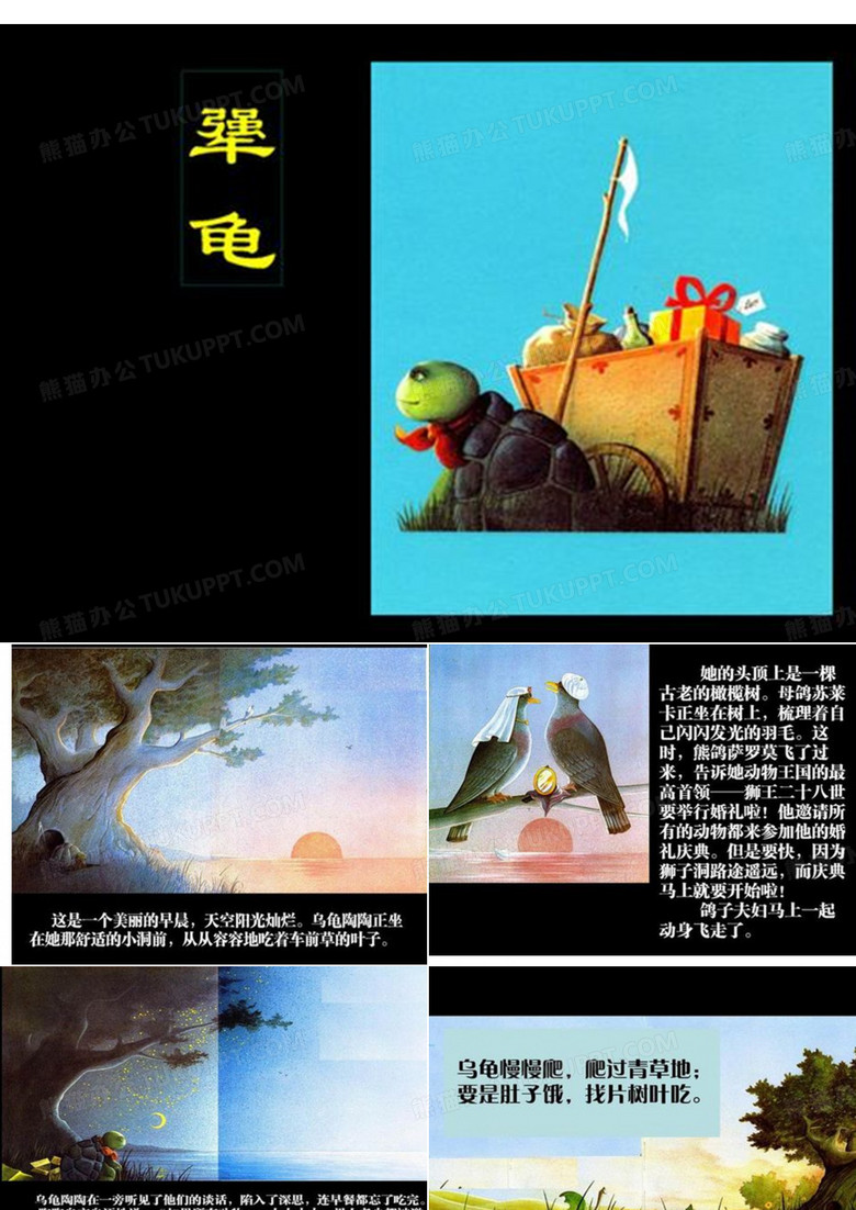 绘本《犟龟》PPT课件