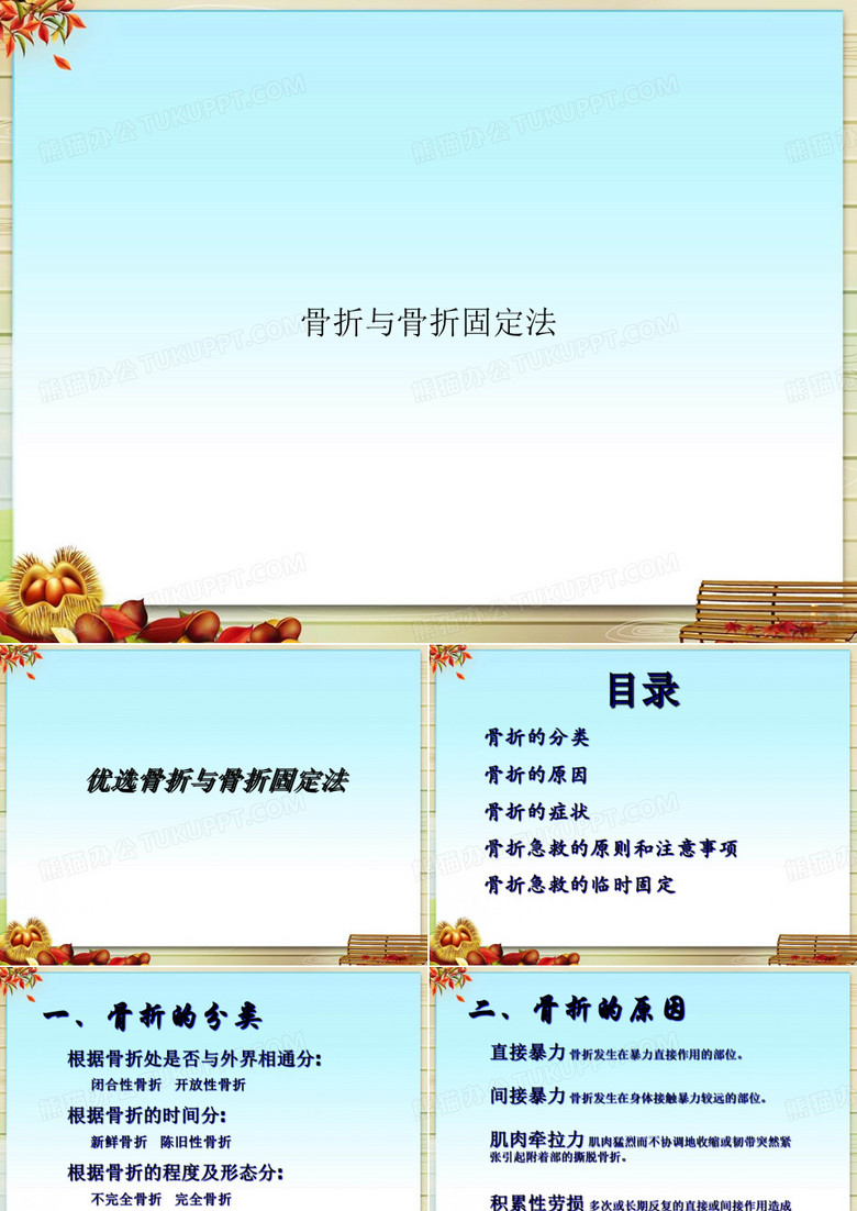 骨折与骨折固定法