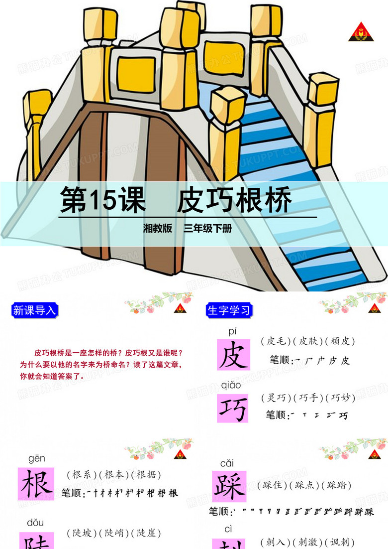 15皮巧根桥精品PPT课件