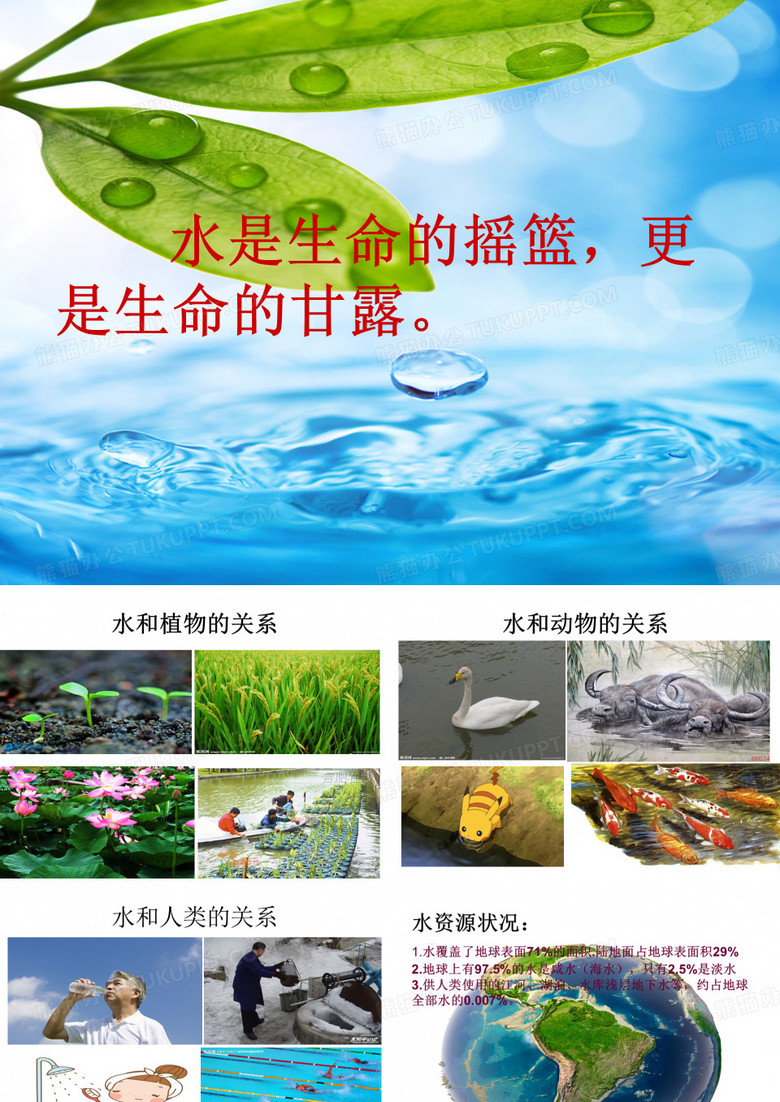 《生命的甘露》六年级美术美术课件