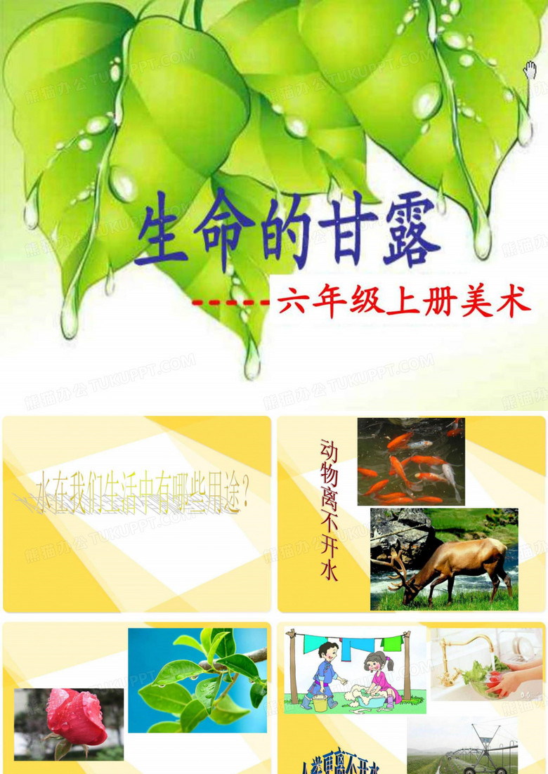 六年级美术生命的甘露课件.ppt