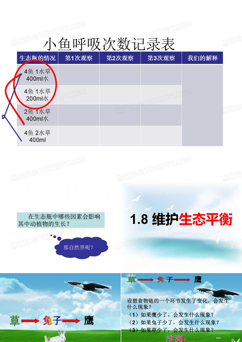 1.8维护生态平衡