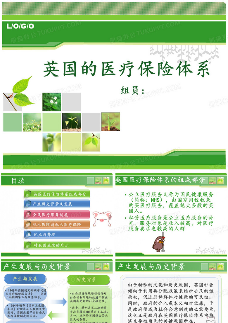 英国医疗保险体系