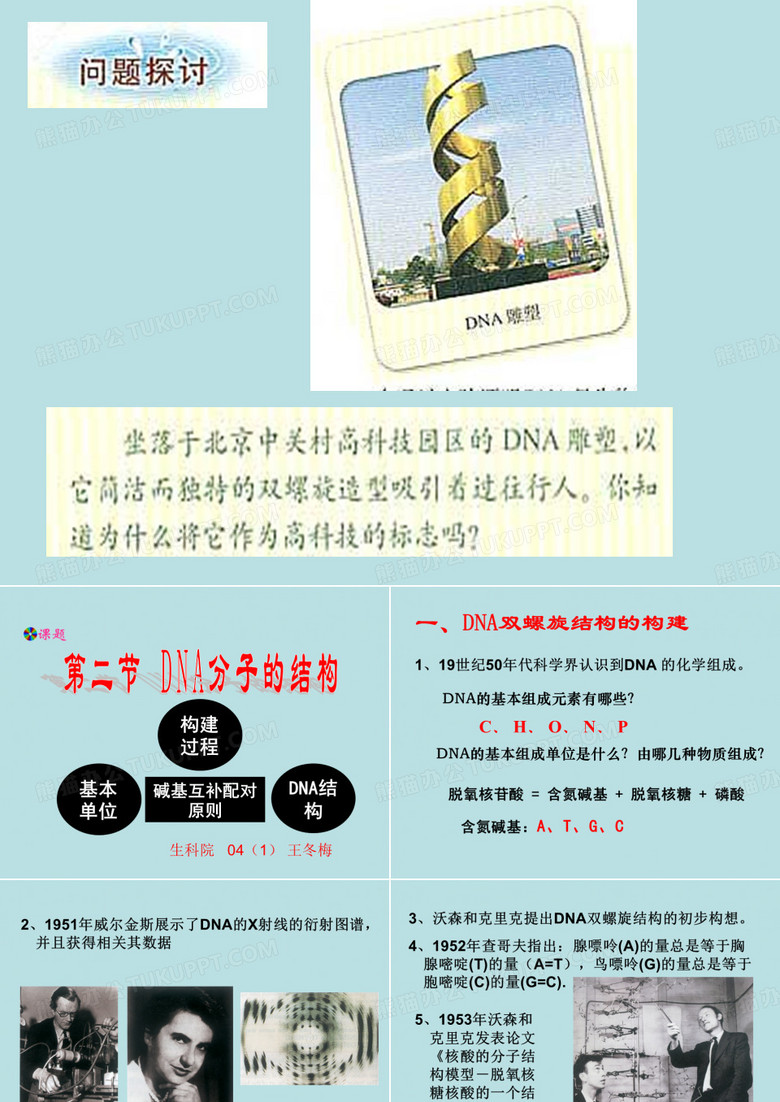 DNA分子的结构