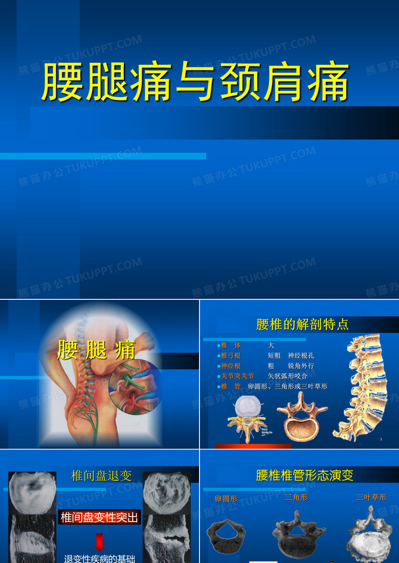 腰腿痛与颈肩痛PPT