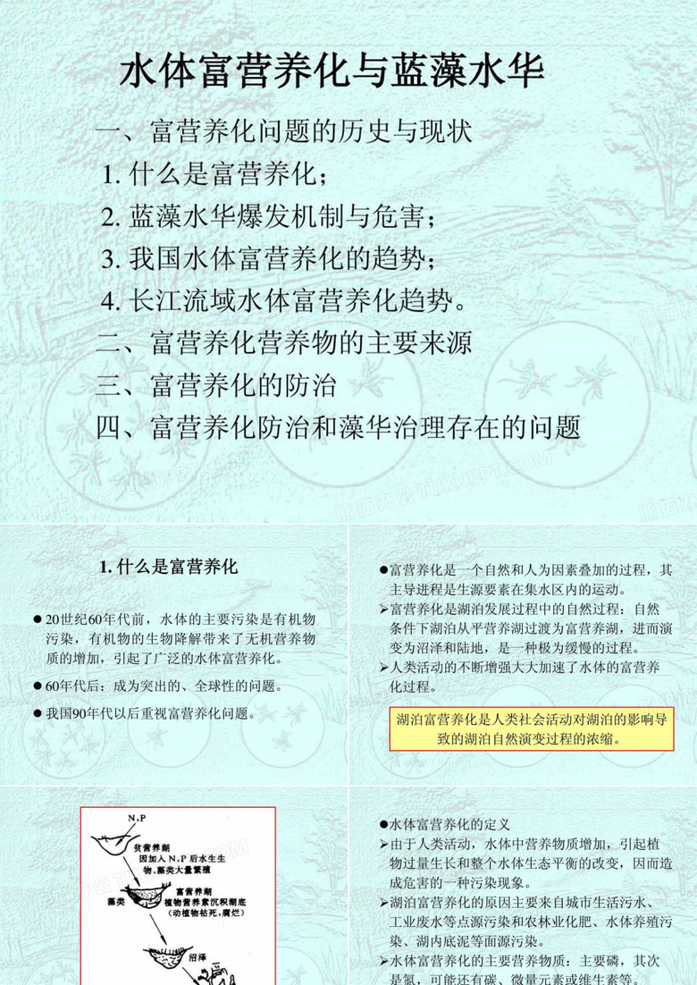 水体富营养化与蓝藻水华.ppt
