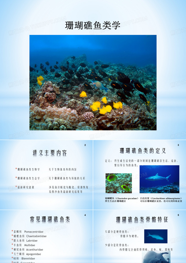 海洋生物学：珊瑚礁鱼类学