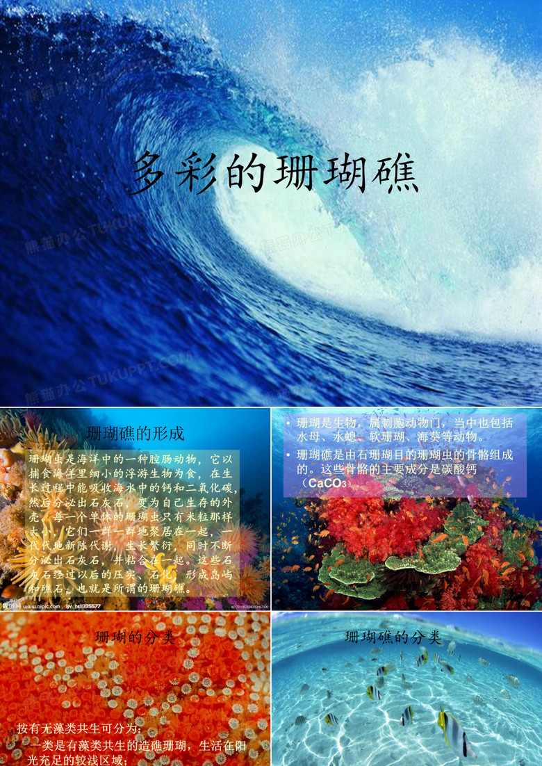 珊瑚礁 优质课件