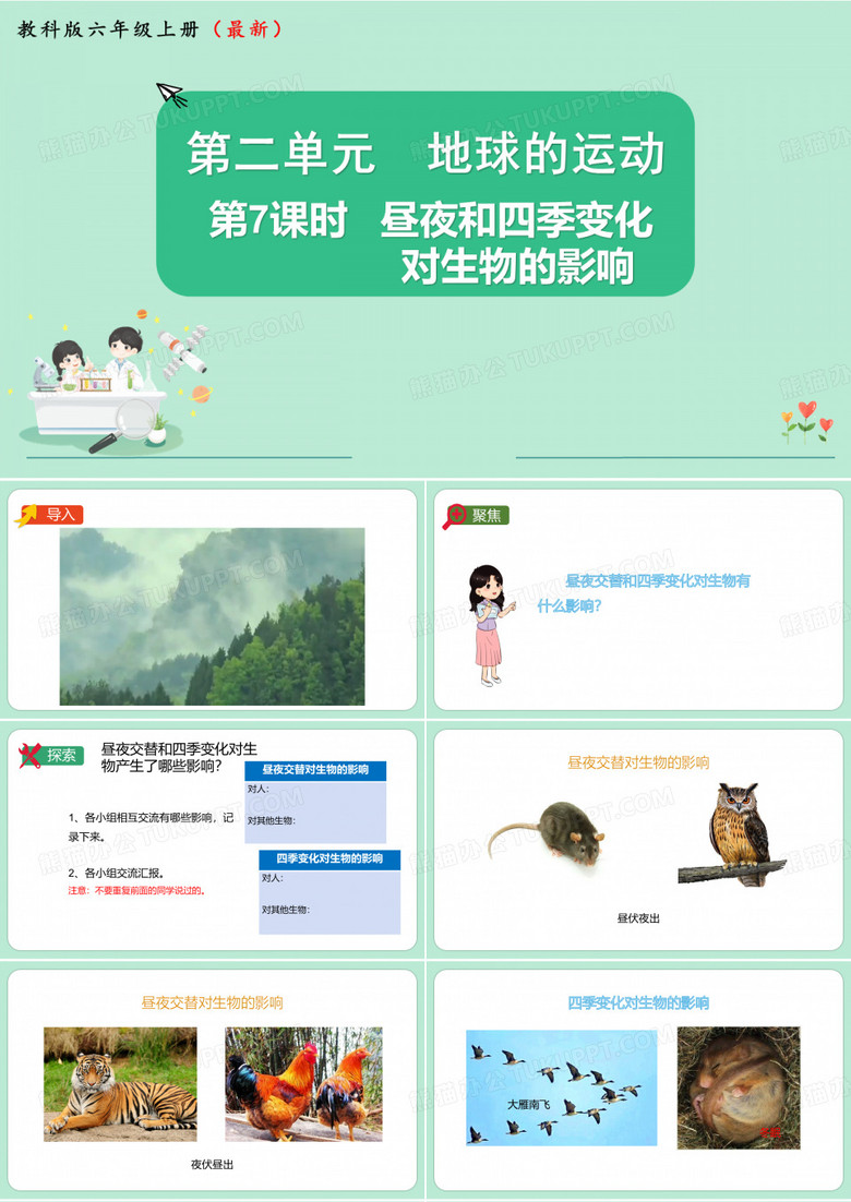 第7课时  昼夜交替和四季变化对生物的影响