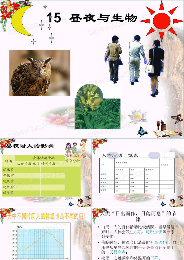 六年级科学上册昼夜与生物ppt课件1青岛版