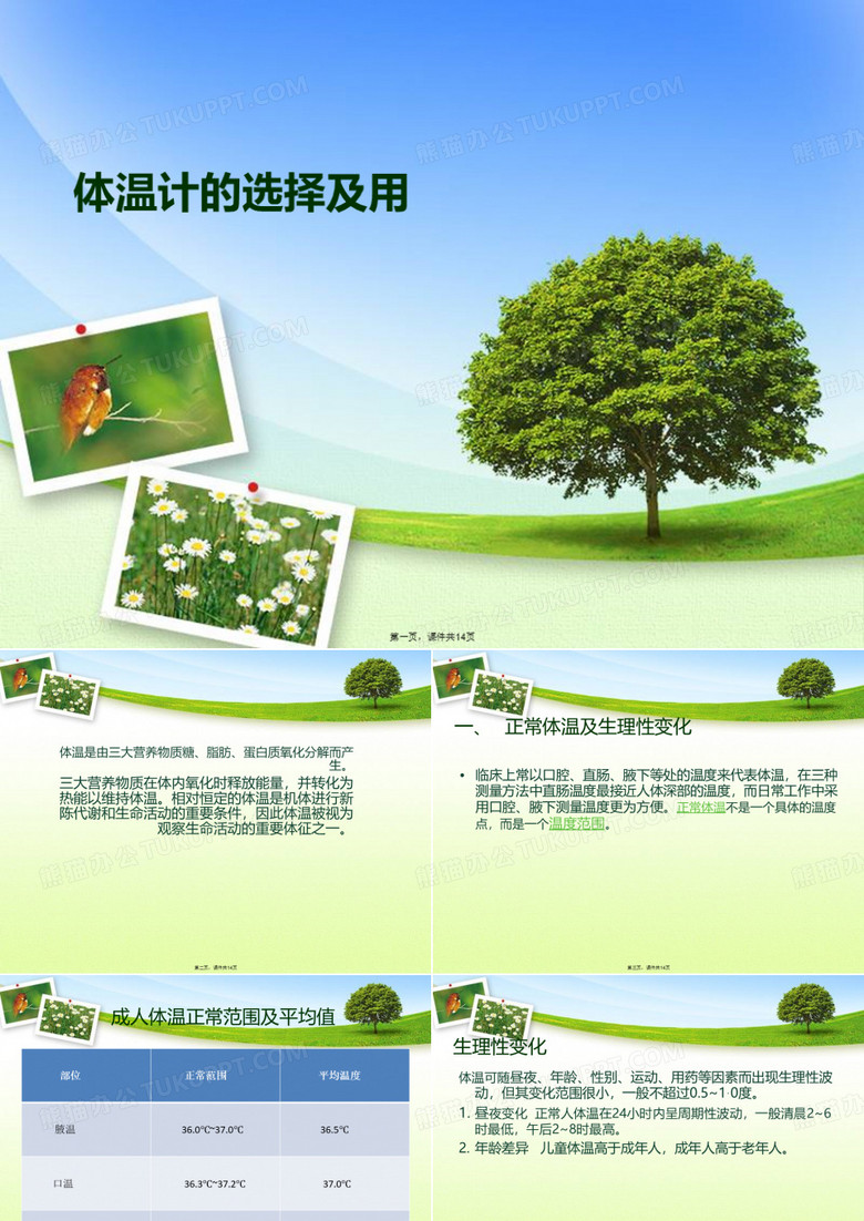 体温计的选择及用