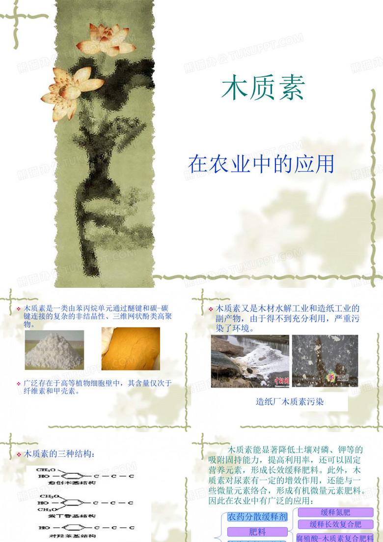木质素