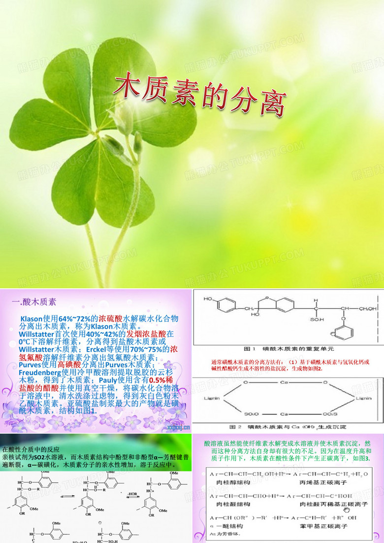 木质素PPT