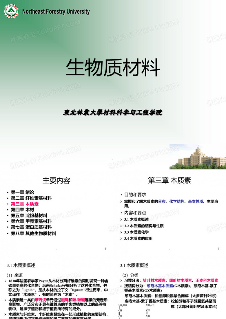 木质素PPT课件