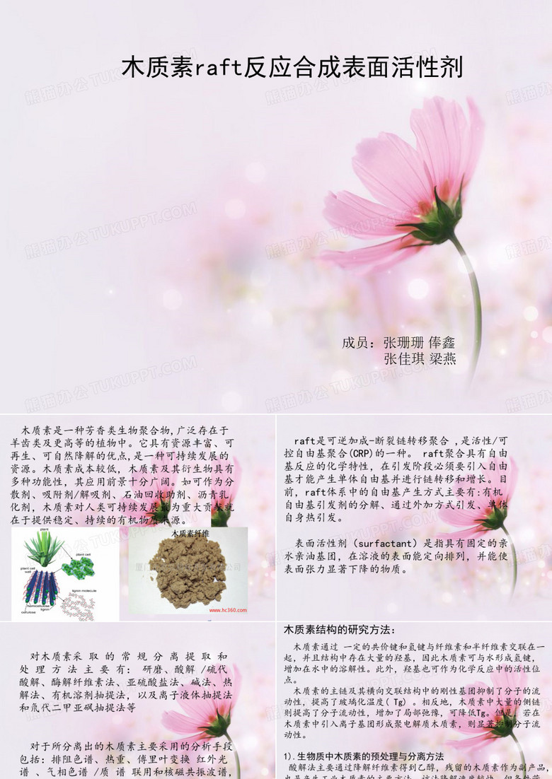 木质素性质PPT