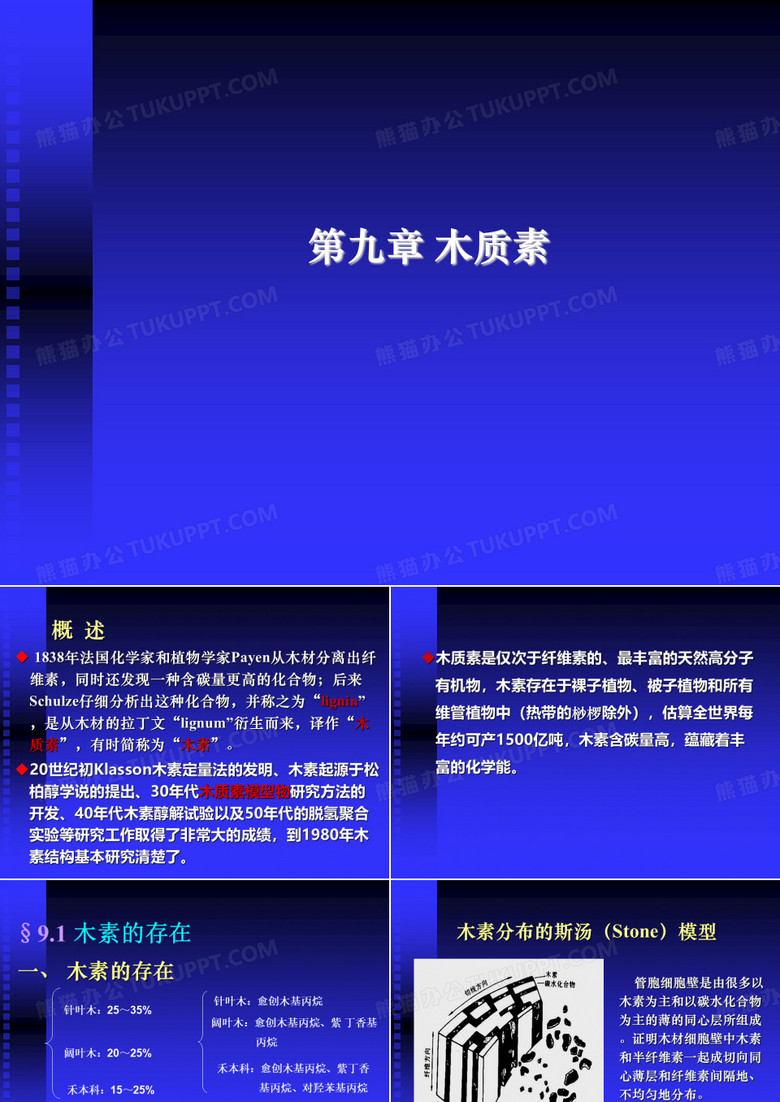 第九章木质素