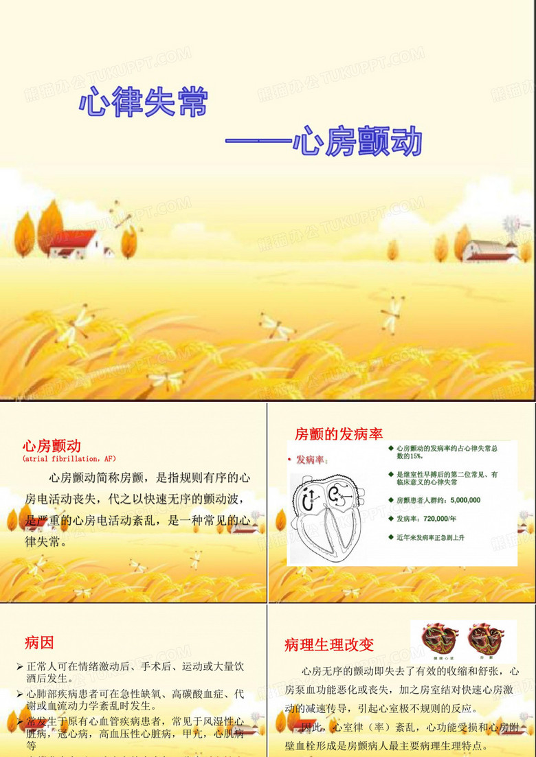 心房颤动PPT