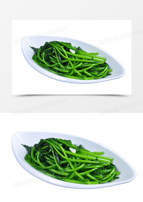 茼蒿菜573一篮茼蒿菜1364南茼蒿图片00茼蒿青菜素材10木茼蒿属 菊科