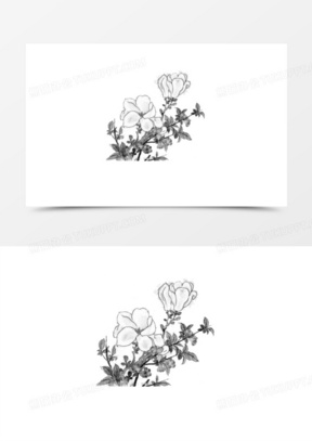 茉莉花瓣曲线图片