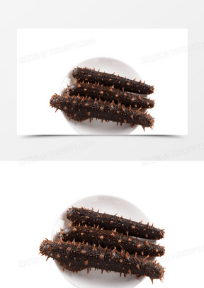 美国阿拉斯加海参