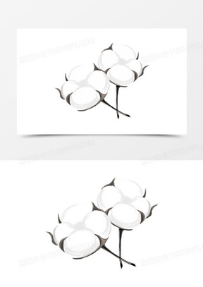 手绘棉花图片素材