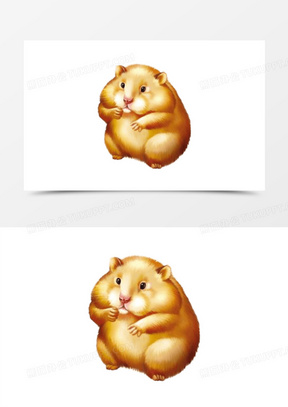 圆圆的小松鼠素材图片