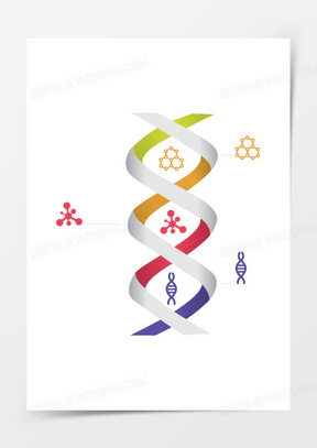 双螺旋dna分子结构