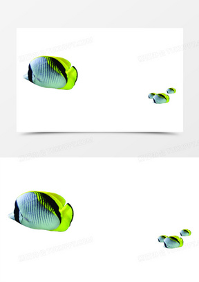 288x407