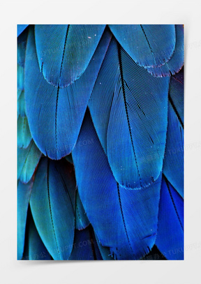 蓝色背景流苏线条