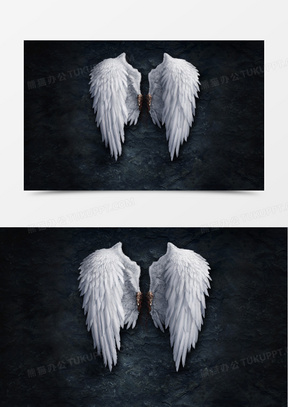 黑暗里的天使翅膀