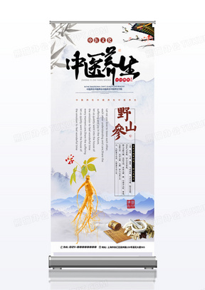 简约中医养生野山参展架海报