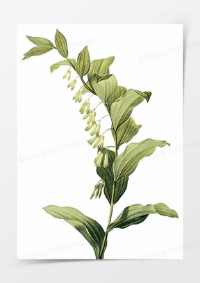 10透明玻璃罐五谷杂粮食品白底图30白底图10清新花朵家居床白底图10