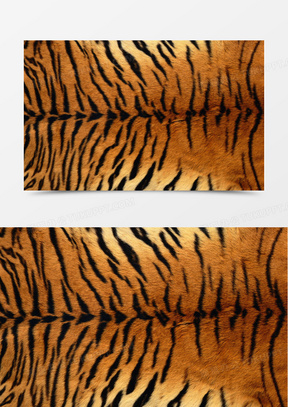 老虎纹素材_老虎纹图片_老虎纹素材图片下载_熊猫办公